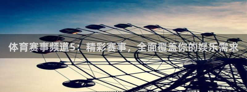 体育赛事频道5：精彩赛事，全面覆盖你的娱乐需求