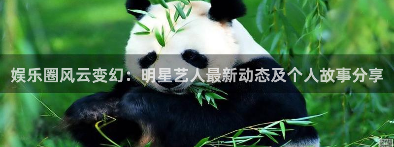 娱乐圈风云变幻：明星艺人最新动态及个人故事分享