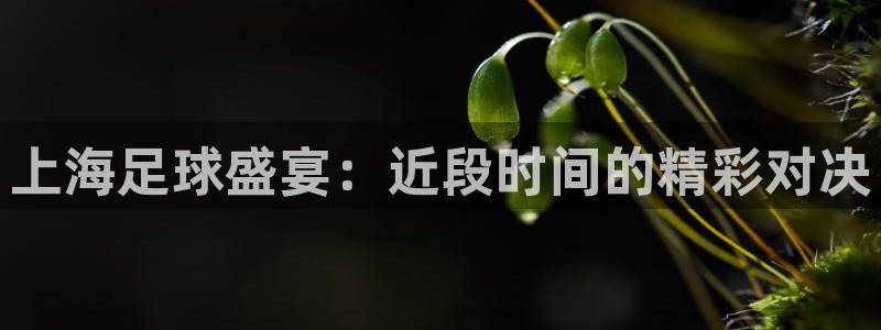 上海足球盛宴：近段时间的精彩对决