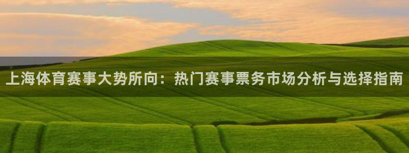 上海体育赛事大势所向：热门赛事票务市场分析与选择指南