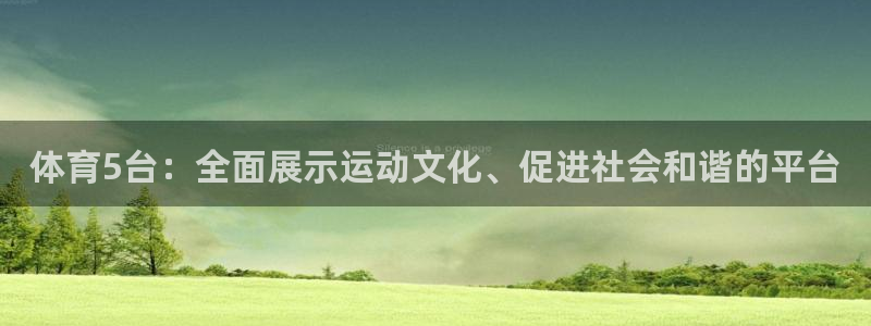 体育5台：全面展示运动文化、促进社会和谐的平台