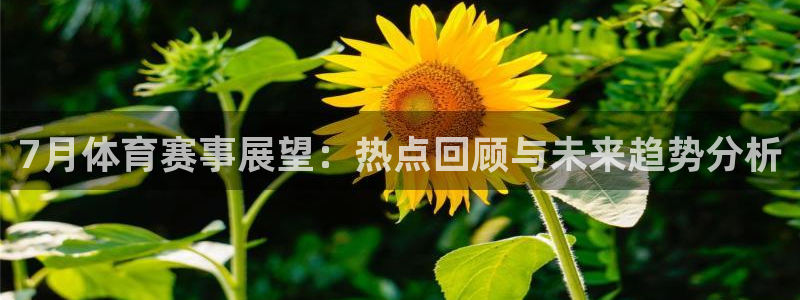 7月体育赛事展望：热点回顾与未来趋势分析