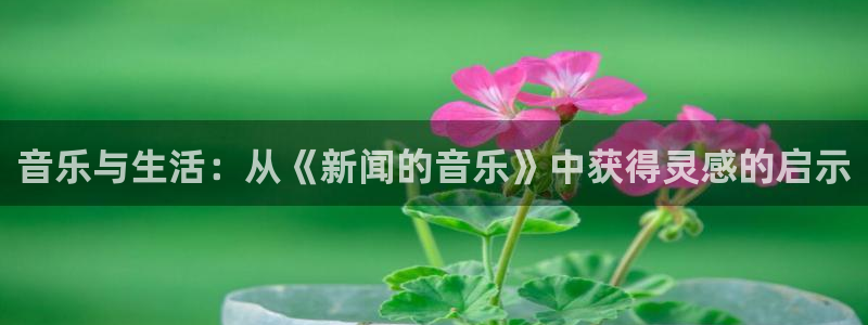 音乐与生活：从《新闻的音乐》中获得灵感的启示